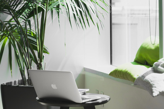 Ein kleiner gemütlicher Arbeitsbereich mit Sitzgelegenheit, Pflanzen und einem Tisch, auf dem ein Laptop platziert ist.
