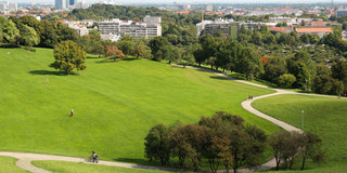 Bild von München mit Grünflächen.