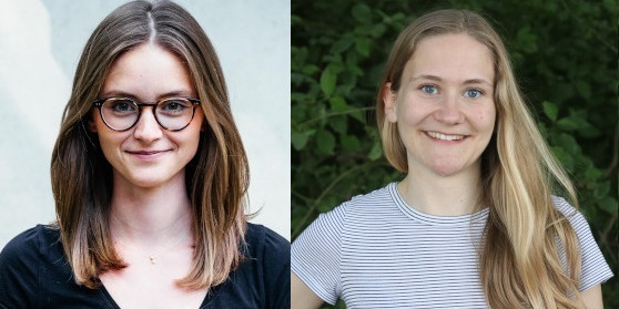 Hellwig Scheunert