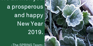The picture shows frozen flowers beside of SPRING Greetings