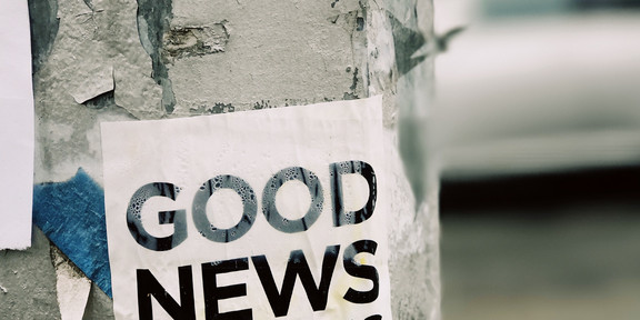 Hinweisschild Baum Ein Aufkleber auf einem Baum worauf steht "Good News is coming".
