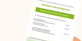 Plakat zum Studium Oecologicum