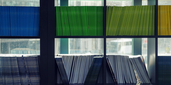 Bücherregal mit farblich sortierten Büchern.