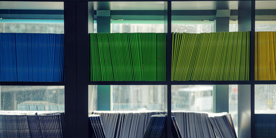Bücherregal mit farblich sortierten Büchern.