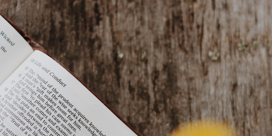 Open book rests on a wooden table.