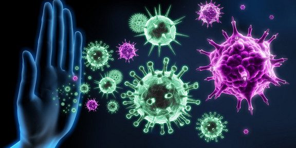 News Coronavirus News Coronavirus