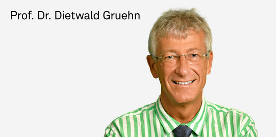 Photo of Prof. Dr. Dietwald Gruehn.