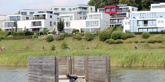 Phoenix lake with houses and meadow.