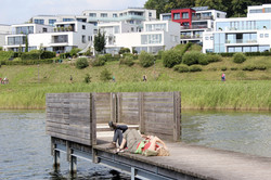 Phoenix lake with houses and meadow.