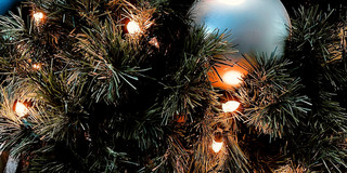 Weihnachtsbaum Blaue Weihnachtskugeln hängen an einem Tannenbaum.