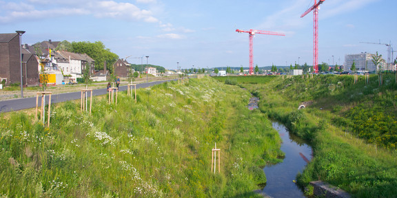 Foto von einer Grünfläche mit Strommasten und einer kleinen Straße.