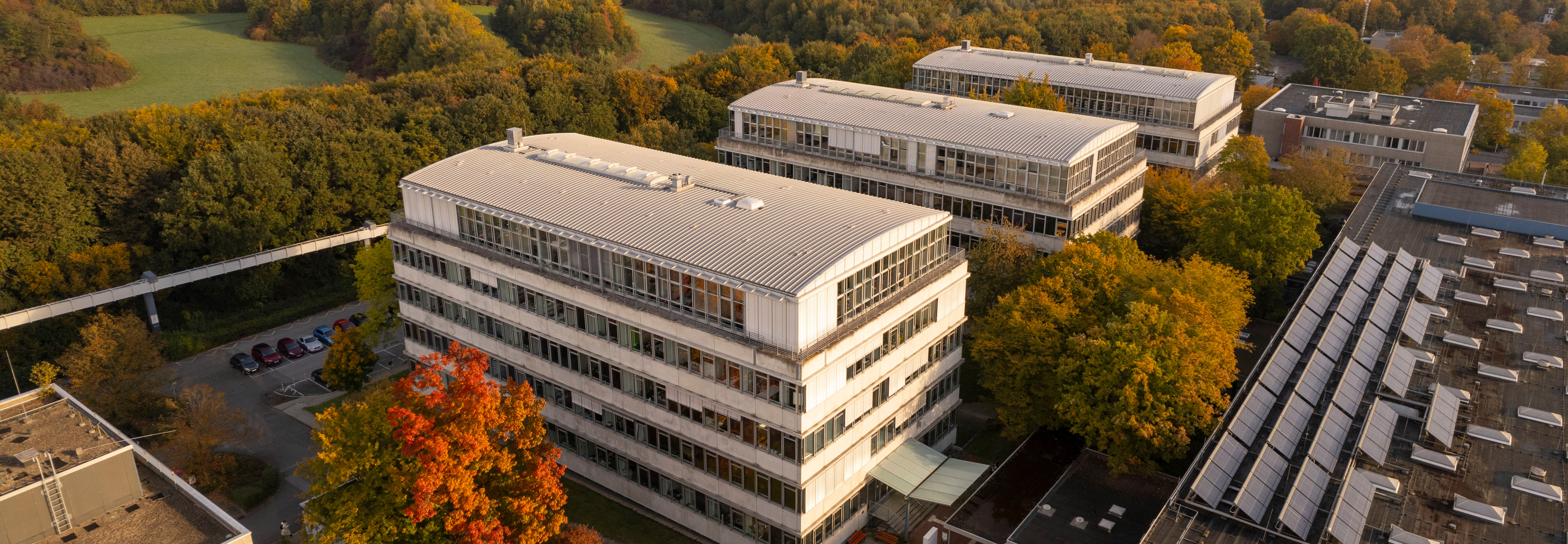 Die Geschossbauten im Herbst mit roten Blättern an den Bäumen.