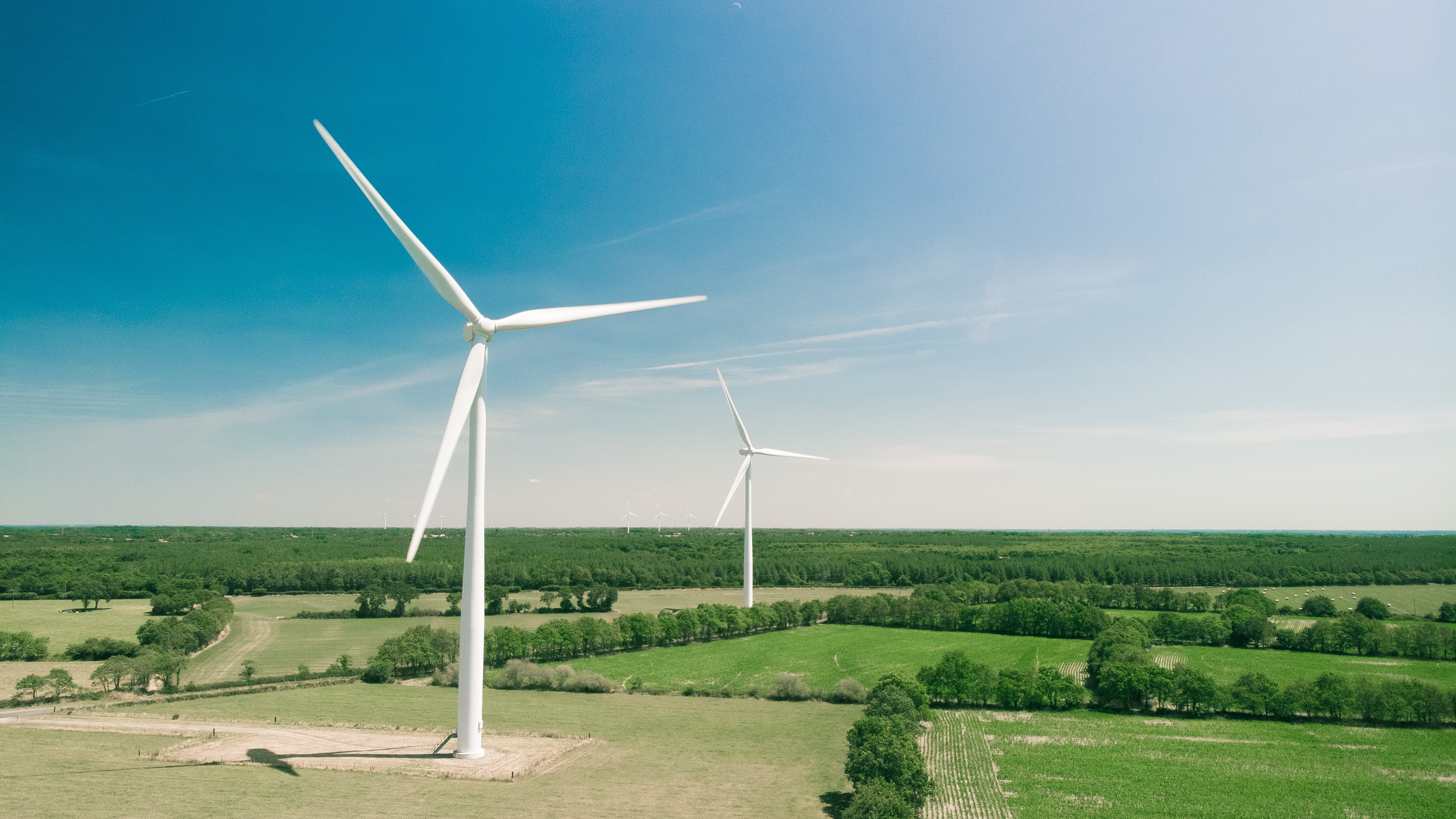 Windräder an Grünlandschaft