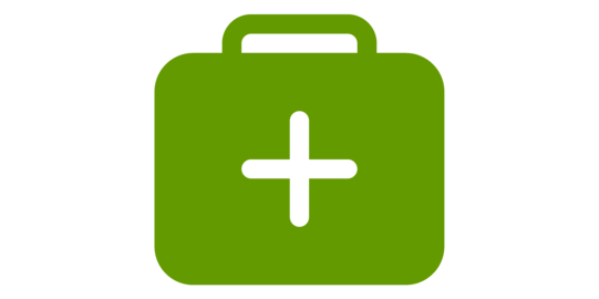 green medication case icon
