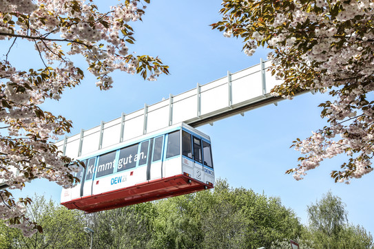 The H-Bahn passes blossoming trees.