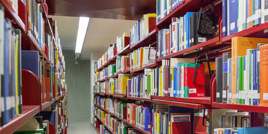 Bookshelves in the University Library
